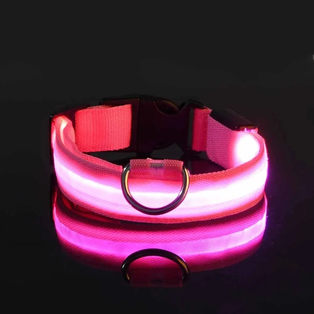 Luminous LED Night Safety Glow Dog Leash and Collar