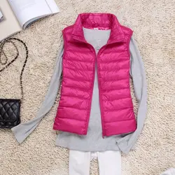 Doudoune Légère et Fine pour Femme, Col Vertical Court, Grande Taille, Nouvelle Collection Automne et Hiver