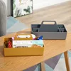 Multi Functional Storage Box Desktop Storage Large Thickened Portable Cosmetic Storage Box Bathroom Decoration Accessories 4