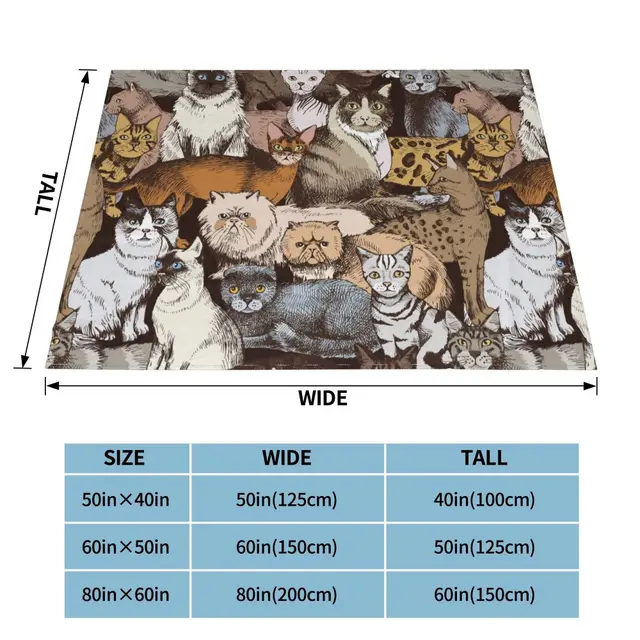 ASHLEIGH Throw Blanket 50x60 Inches Gray Angry Persian Cat Face Cartoon  Domestic Feline Funny Furry Gloomy Warm Flannel Soft Blanket for Couch Sofa  Bed 