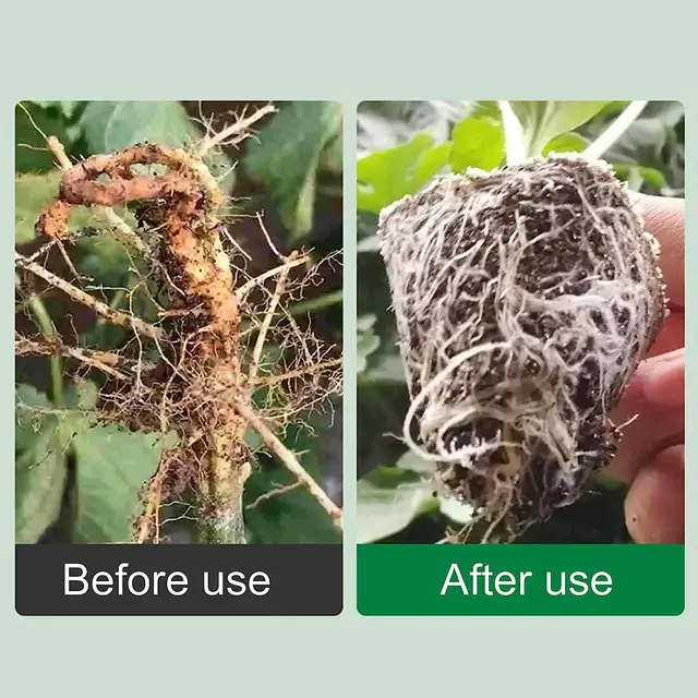 Növényi Gyökérhormonok, Nagy Teljesítményű Szerves Gyökér | 50 Ml Folyékony Fa Stimulátor A Transzplantációkhoz, Gyökérnövekedés, Tre - Image 5