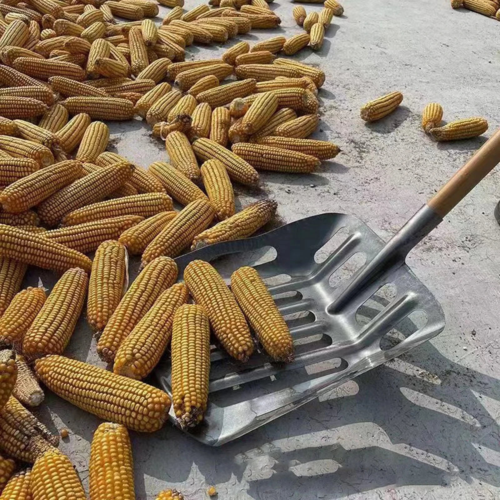 Slide image 05849f88b17c456781a0acc5b369b9ad