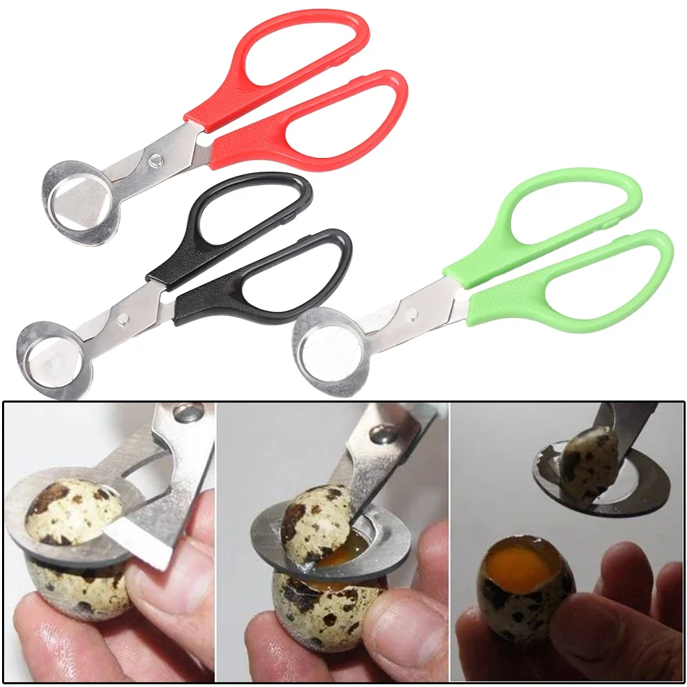 Quail Bird Egg Scissors Fresh Stainless Steel Egg Cutters EggOpener Shell Utensils Kitchen 18PCS egg shell opener egg shell scissors egg opener