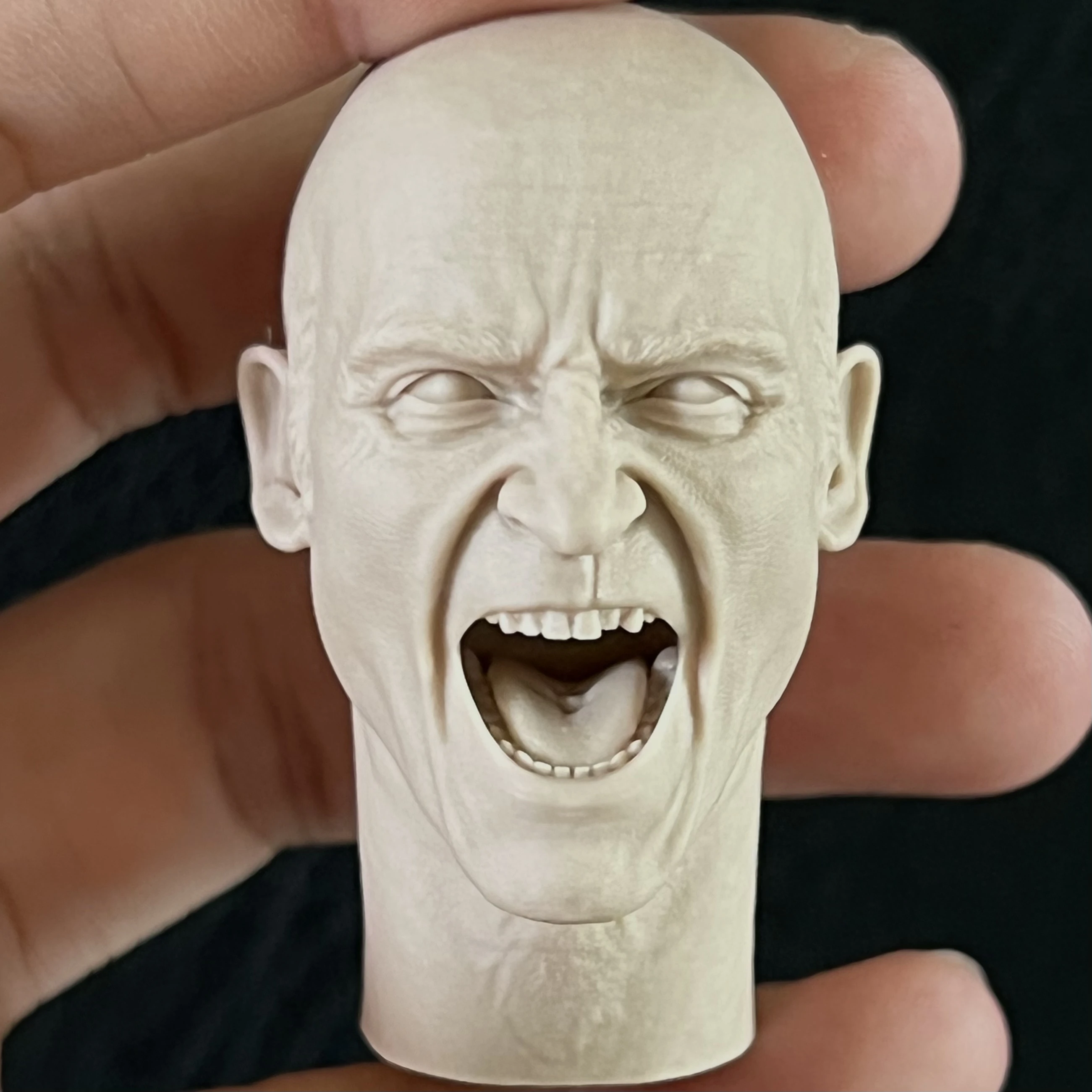 16DiecastResinFigureModelAssemblyKitFigureHeadExquisite