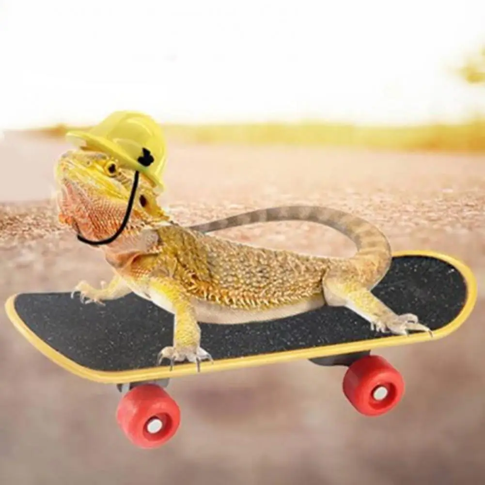 1 Set Useful Lizard Toy Sturdy Exercise Lizard Construction Helmet Decompression Reptile Mini Scooter Small Pet Hamster Toys