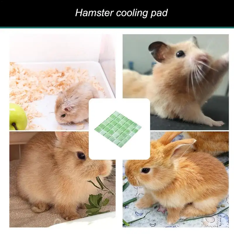 Chinchilla Cooling Stone Ice Pad Summer Bed For Hamster Pet Supplies Hamster Cooling Mat Pet Heat Dissipation Plate For
