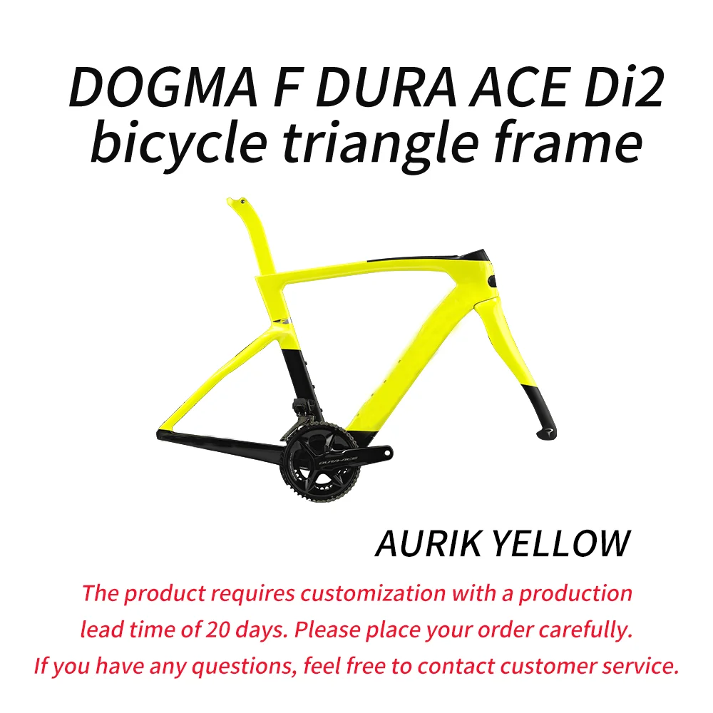 Pinarello DOGMA F Dura-Ace Di2 Carbon Road Bike Frameset for Racing & Training