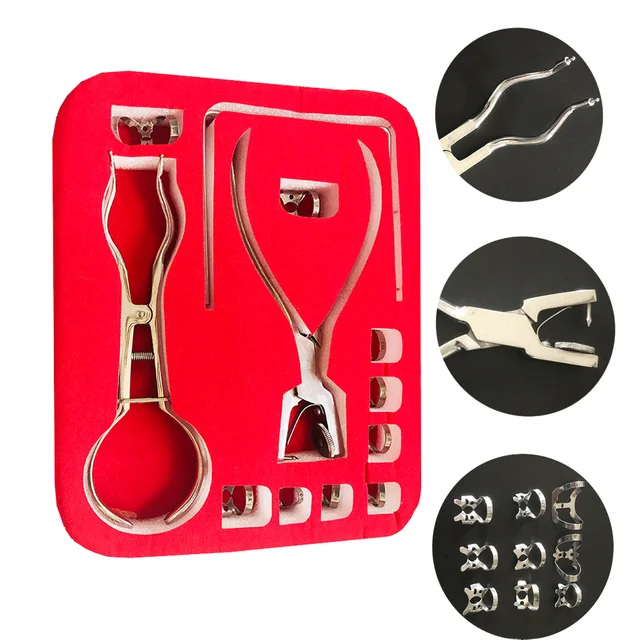 Dental Dam Hole Puncher Set Puncher Pliers for Dentist Dental Dam Perforator Dental Rubber Dam Puncher Orthodontic Tools