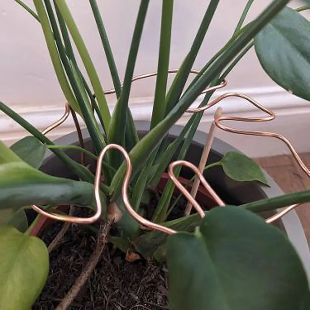 Plant stakes monstera shaped plant support plant stake for small to medium houseplant