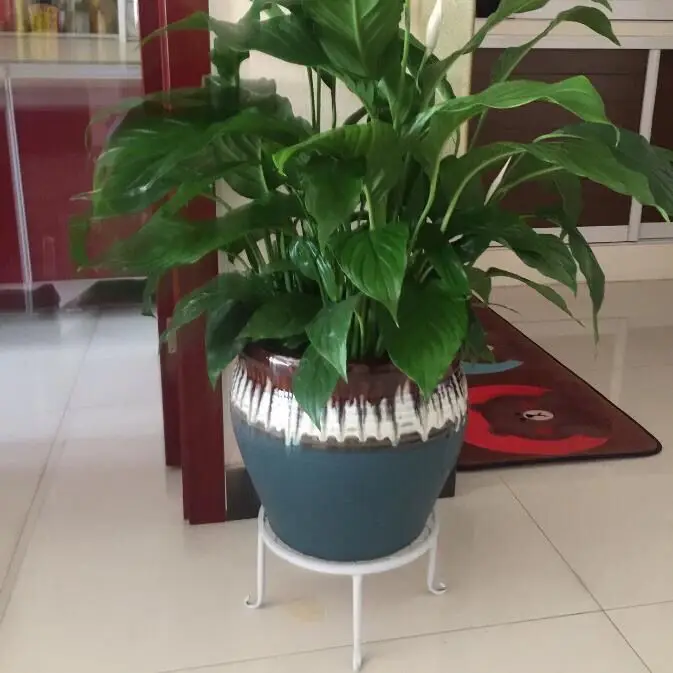 Iron Plant Stand with Saucer 5