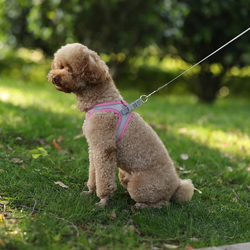 Classic Brown Flower Dog Supplies Harness And Leash Set Dogs Chest Strap  Cat Puppy Pet Harnesses Leads Belt Rope Dog Walking Lead From Zhuwazi,  $14.78