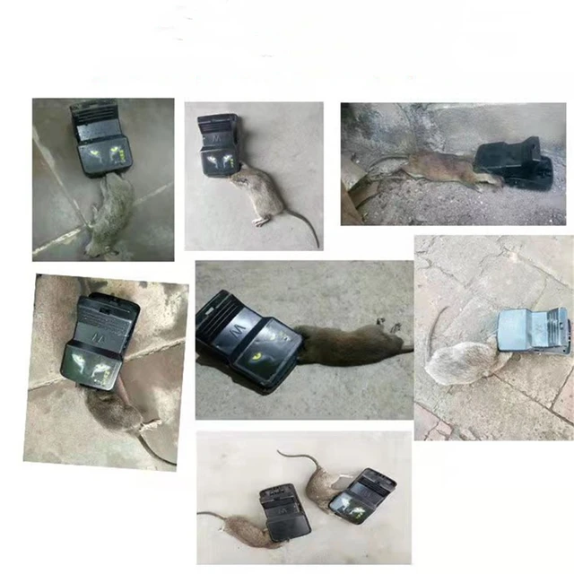 Patkány Csapda Nemesis Csapdába Egy Háztartási Kültéri Fészek Vége Erőteljes Mechanikus Egérgörből Egerek (Csali Küldése) - Image 6