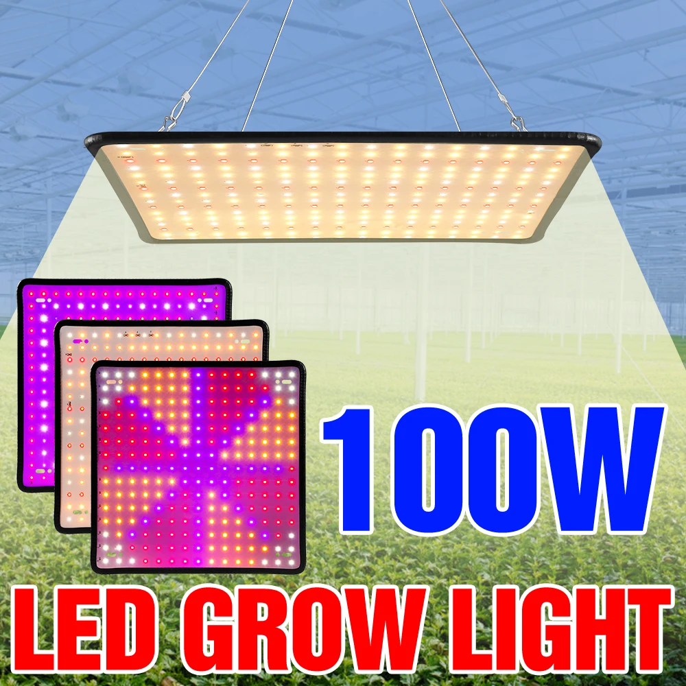 100W LED Plant Grow Light Full Spectrum Quantum Board Flower Seed Indoor Hydroponic Greenhouse Vegetable Cultivation Growth Lamp