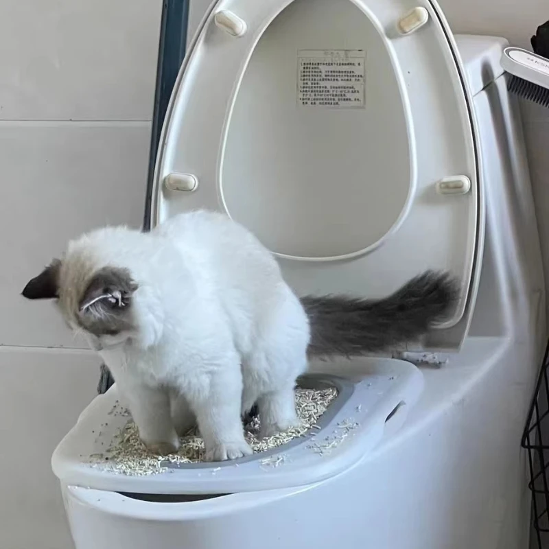 Reusable Plastic Toilet Training Kit for Cats Toilet Trainer for Puppy Cat Litter Mat Cleaning Product Best cat toilet trainer