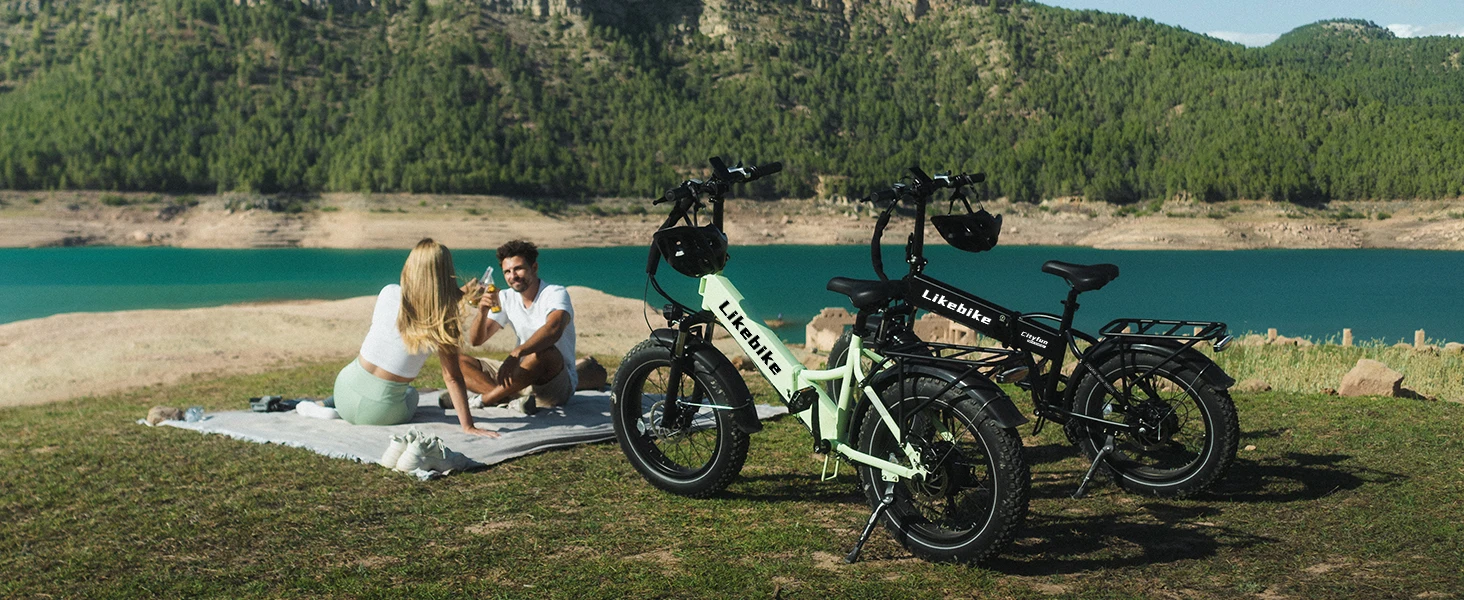 Folding Electric Bike