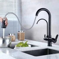 Kitchen Sink Faucet with Pull Down Sprayer 2 Handles 3 in 1 Water Filter Water Purifier Faucet Countertop Sink Hose Accessories 3