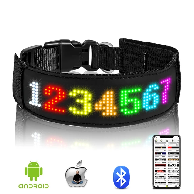 RGB LED Dog Collar with Custom Text 1