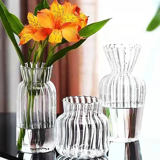 1pc vasi trasparenti creativi nordici per bottiglia di piante vaso di fiori terrario idroponico disposizione contenitore vaso da tavolo per fiori 1