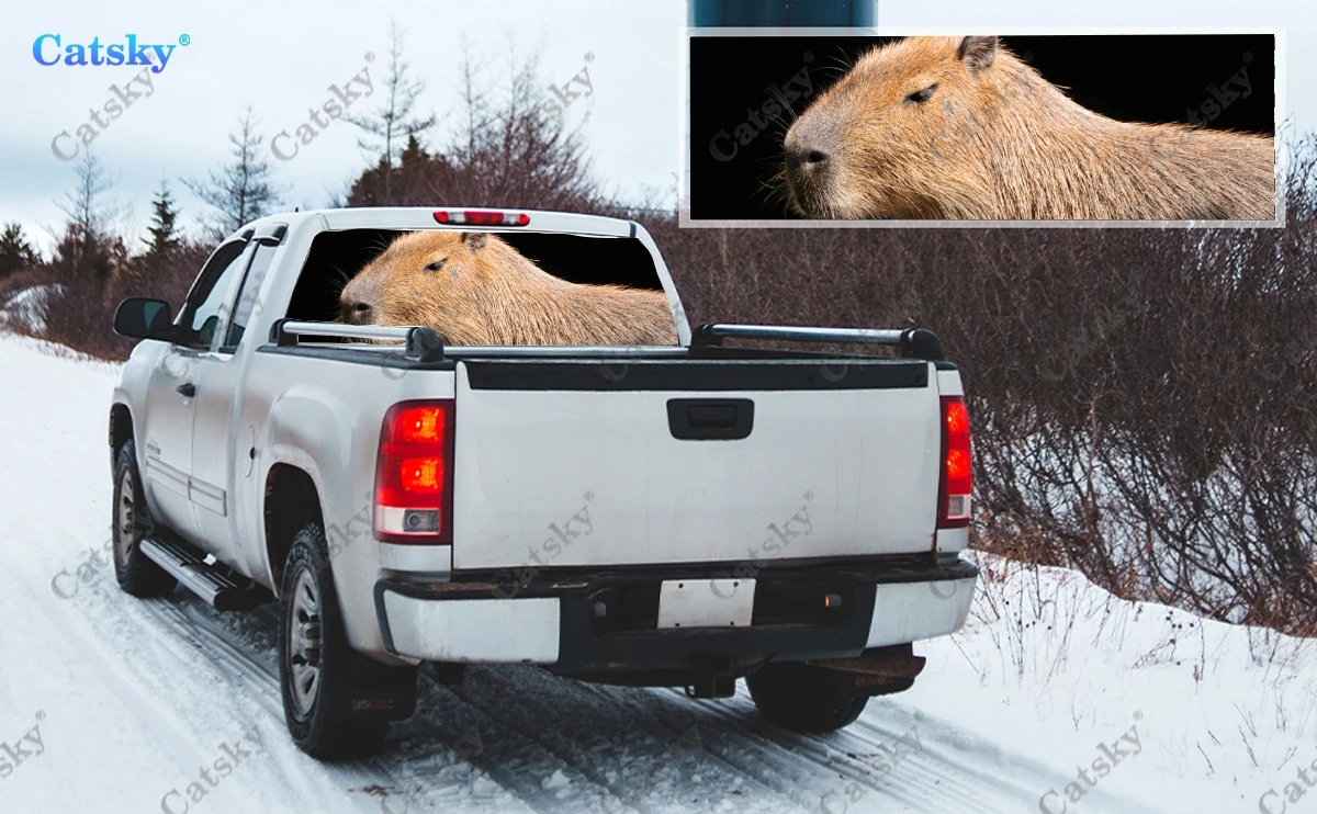 Capybara animal Window Decal Sticker Graphic PVC Decorative Truck