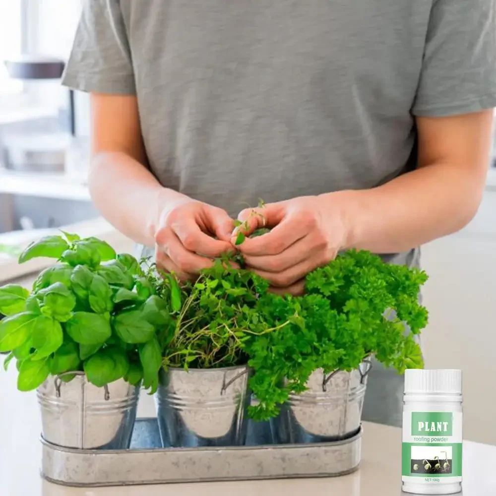 Plant Fertilizing Concentrate Plant Root Stimulator Organic Fertilizer 100g Fast Rooting Powder Rooting Hormones Powder Improve Flowering Cutting Survival Rate Plants Grow Cut Dip Fertilizer