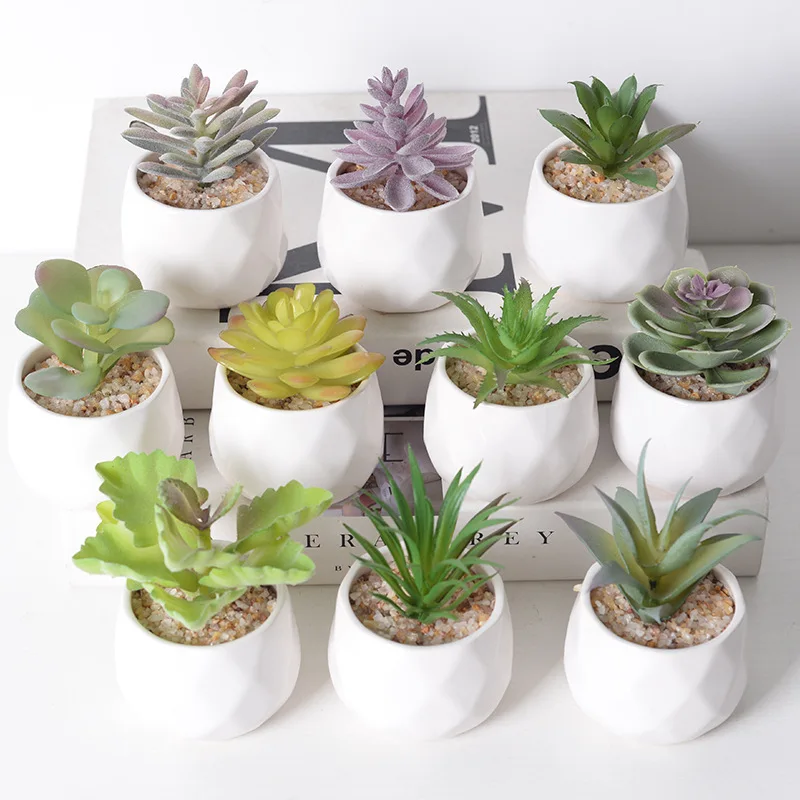 Artificial Succulent Cactus - Indoor Potted Plant Decor for Office  Garden