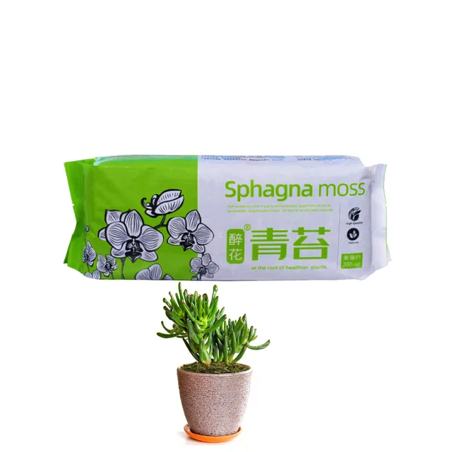 Száraz Sphagnum Mohával Szárított Víz Mohás Természetes Moha Phalaenopsis Dedikált Táplálkozási Orchideák Pozsgás Növényekhez