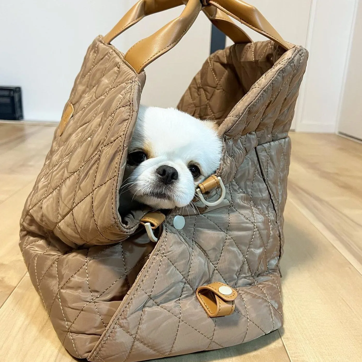Pet carrying bag, puppy bag, cat sling, fashionable accessory/other pet backpacks （45cm*34cm*38cm）