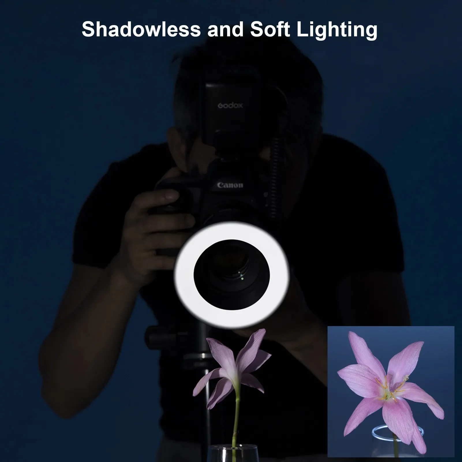 GODOX ML-150II マクロフラッシュ リングライト Amazon | GODOX ML-150II マクロフラッシュ リングライト 光量