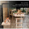 Bird Toy Hamster Toy Little Pet Springboard Combination Toy Parrot Climbing Ladder Springboard Ladder Swing Parrot Toys 6