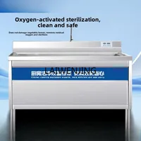 SGF Ultrasonic Commercial Vegetable Washer Dishwasher Stainless Steel Sink 1