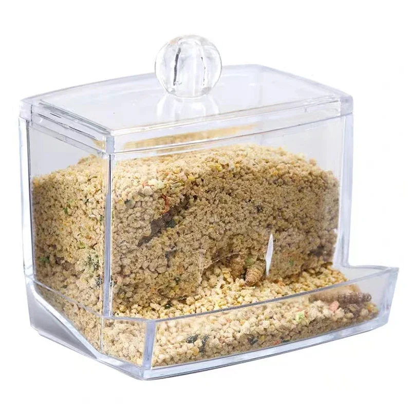 Acrylic Pet Birds Feeder Cage Bowl Fruit Vegetable Container Feeding Cup Cuttlebone Stand Holder Pet Cage Accessories Products