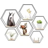 Metal Floating Wall Shelf Sundries Storage Holder Living Room Home Decoration Wall Mounted Hexagon Shelf Handicraft Display Rack 5