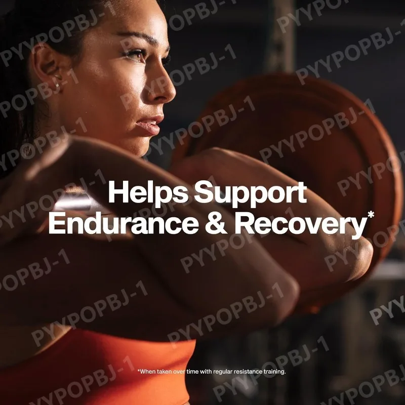 Muscletech Whey Protein Powder Milk Chocolate 2 Pound Nitro Tech Ultimate Muscle Building Formula with Whey Protein Isolate