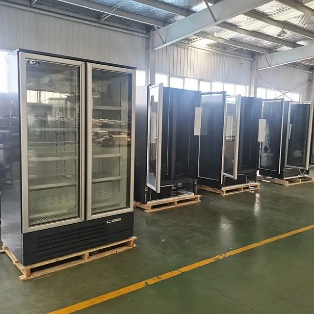 Vertical Upright Freezer Cooler Refrigerated Equipment Double Door Commercial Fridge