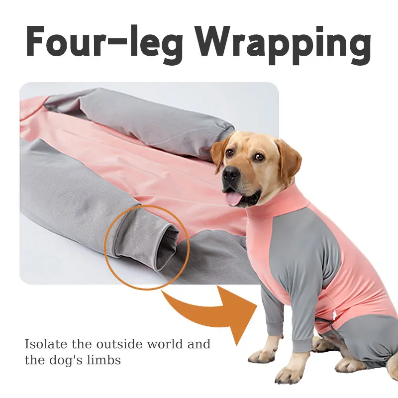 Why Do Dogs Like To Sleep In Corners