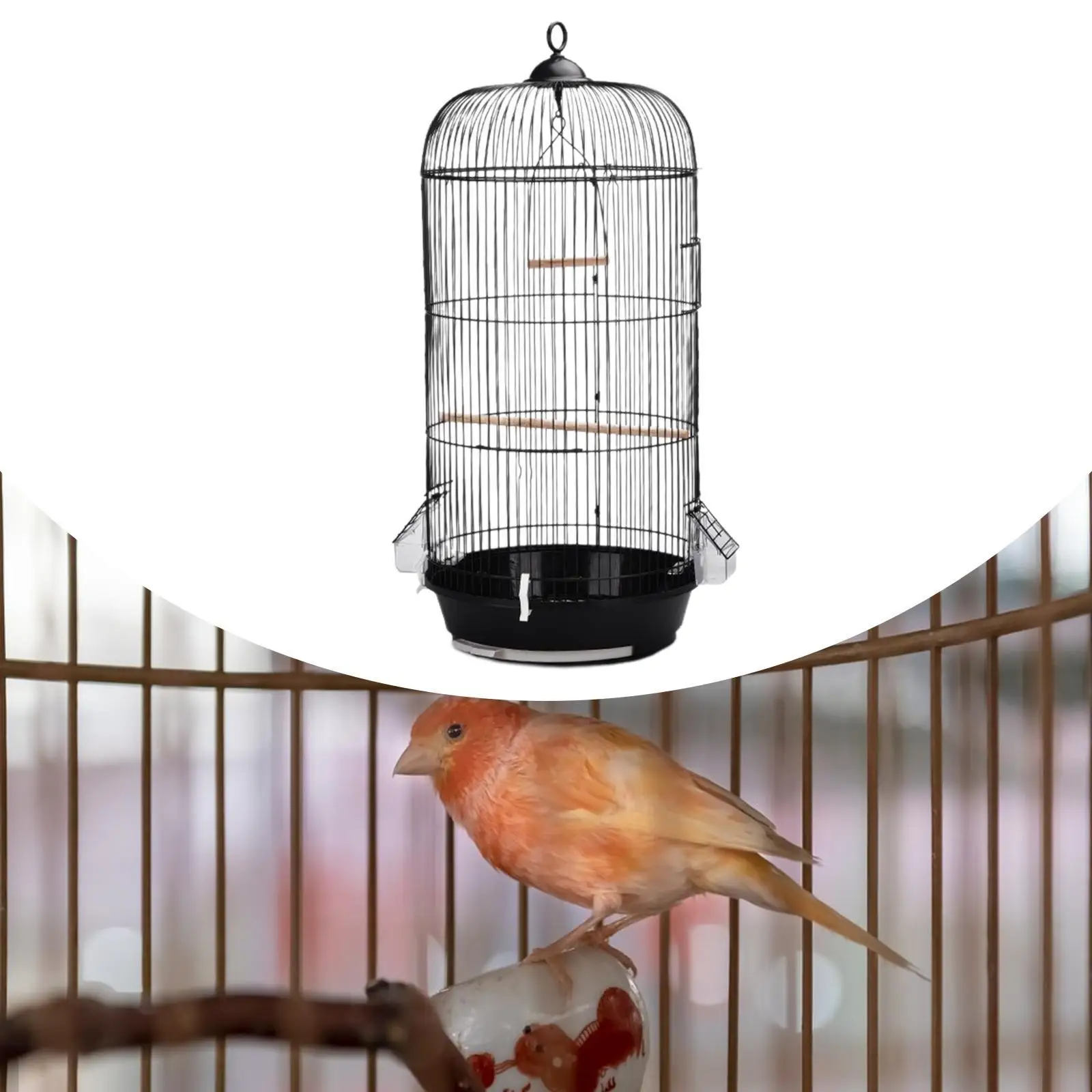 Round Mesh Bird Cage 3