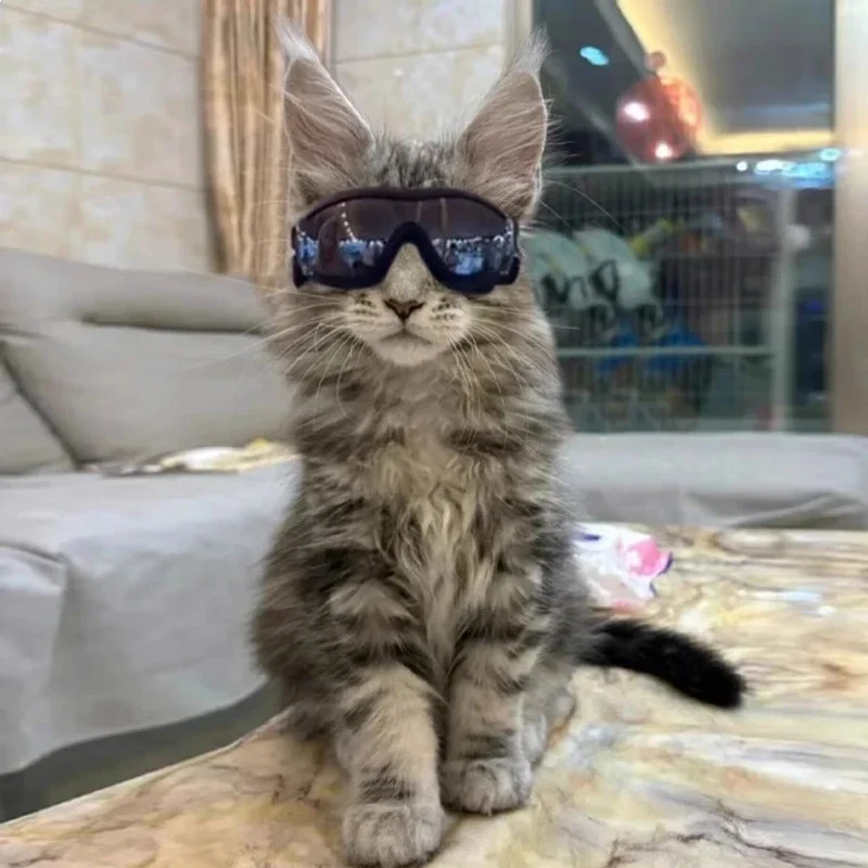 Dog Goggles for Small Breed Dog Sunglasses Dog UV Sunglasses Windproof Soft Frame Adjustable Straps for Small/Medium Dogs Puppy