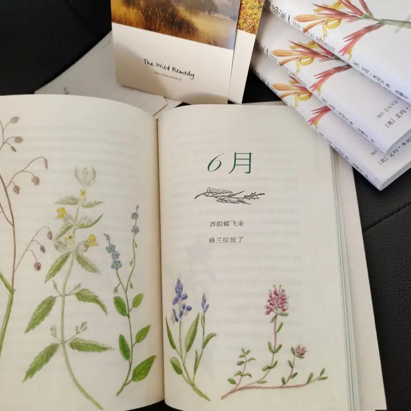 Рисунок 4 - Естественное восстановление моей депрессии