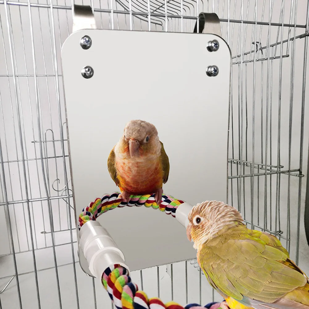 

Bird Parrot Biting Chewing Cotton Rope Stand Toy Set With Stainless Steel MirrorType 1