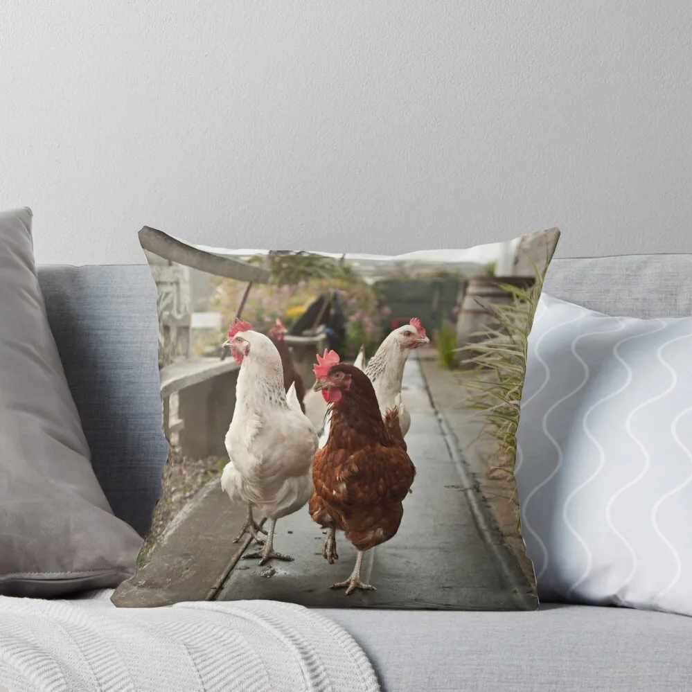

Chickens at Large Throw Pillow Cushions Cover Ornamental Pillow Couch Cushions Cushion Cover For Sofa