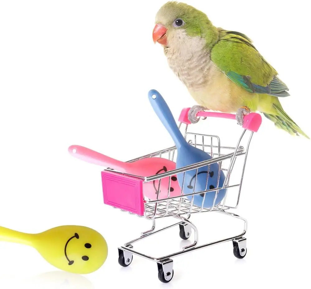 5Pcs Parrot Rattle Toy Funny Bell Toys Mini Sand Hammer Bird Parrot Toys for Chicken Bird Parakeet Cockatiel Budgies Love