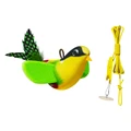 Green Cat Bird