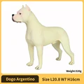 Dogo Argentino