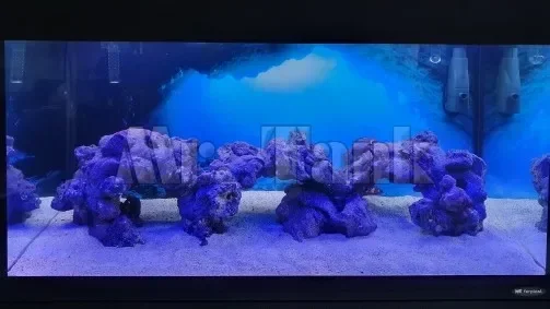 3D Effect Underwater Sunlight Rays Cave Aquarium Background Sticker Static Cling Film Fish Tank Backdrop Decorations