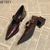 Designer Vintage Pointed Toe Women Mary Jane Shoes Fashion Shallow Buckle Shoes Spring Ladies Elegant Dress Thick Heel Shoes 1