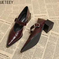 Designer Vintage Pointed Toe Women Mary Jane Shoes Fashion Shallow Buckle Shoes Spring Ladies Elegant Dress Thick Heel Shoes 1