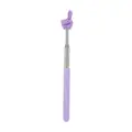 Macaroon-Purple