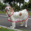 Pet Supplies Dog Raincoat Waterproof New Transparent Plastic Fashion Poncho Personalized Color Edge Costumes for Large Dogs 6