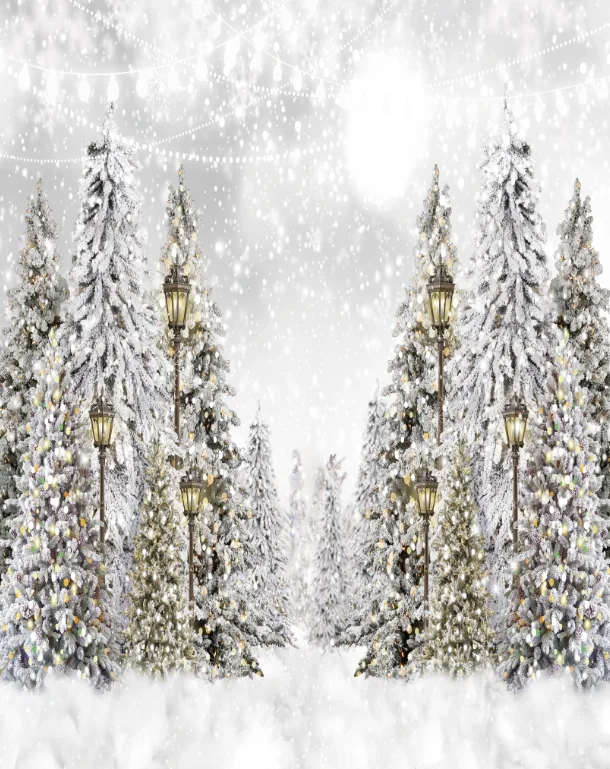 5 X7Ft Grigio Snowy Winter Sky Pine Tree Path House Forest Christmas Custom Photo Studio Sfondo Vinile 150Cm X 220Cm