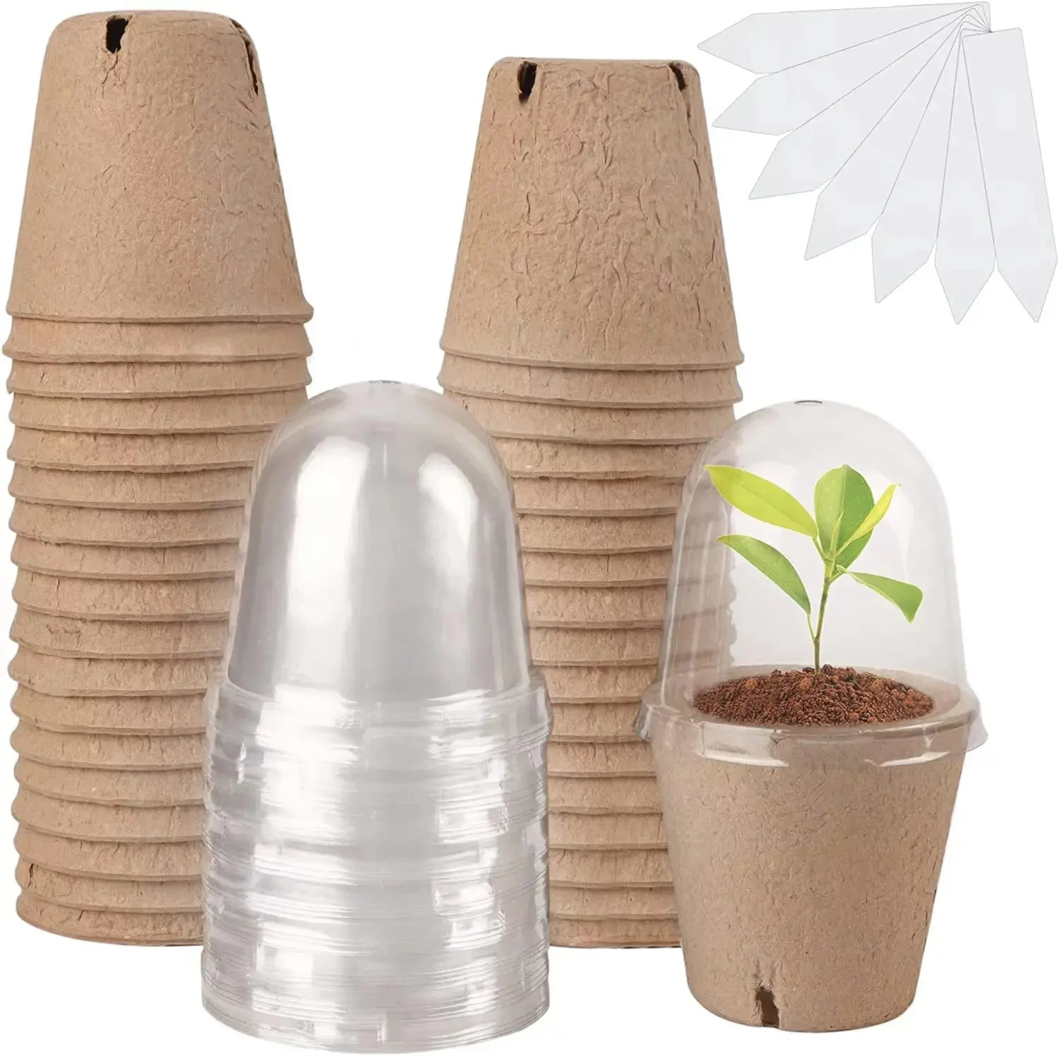 Seed Starter Biodegradable peat POTS, seedling planting POTS with ...